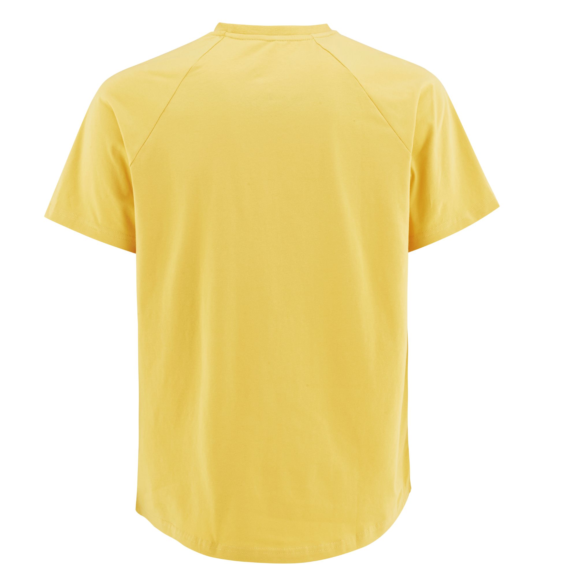TEAM T SHIRT MUSTARD BAK Treningst shirt ThornFit bak