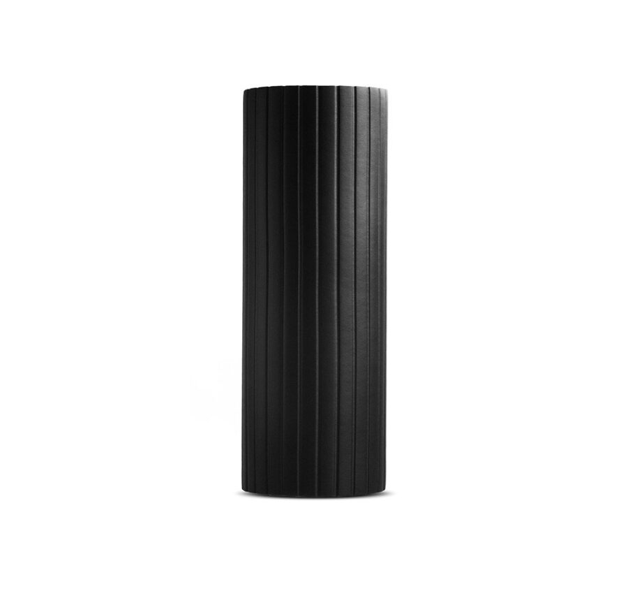 Foam Roller Thorn Fit