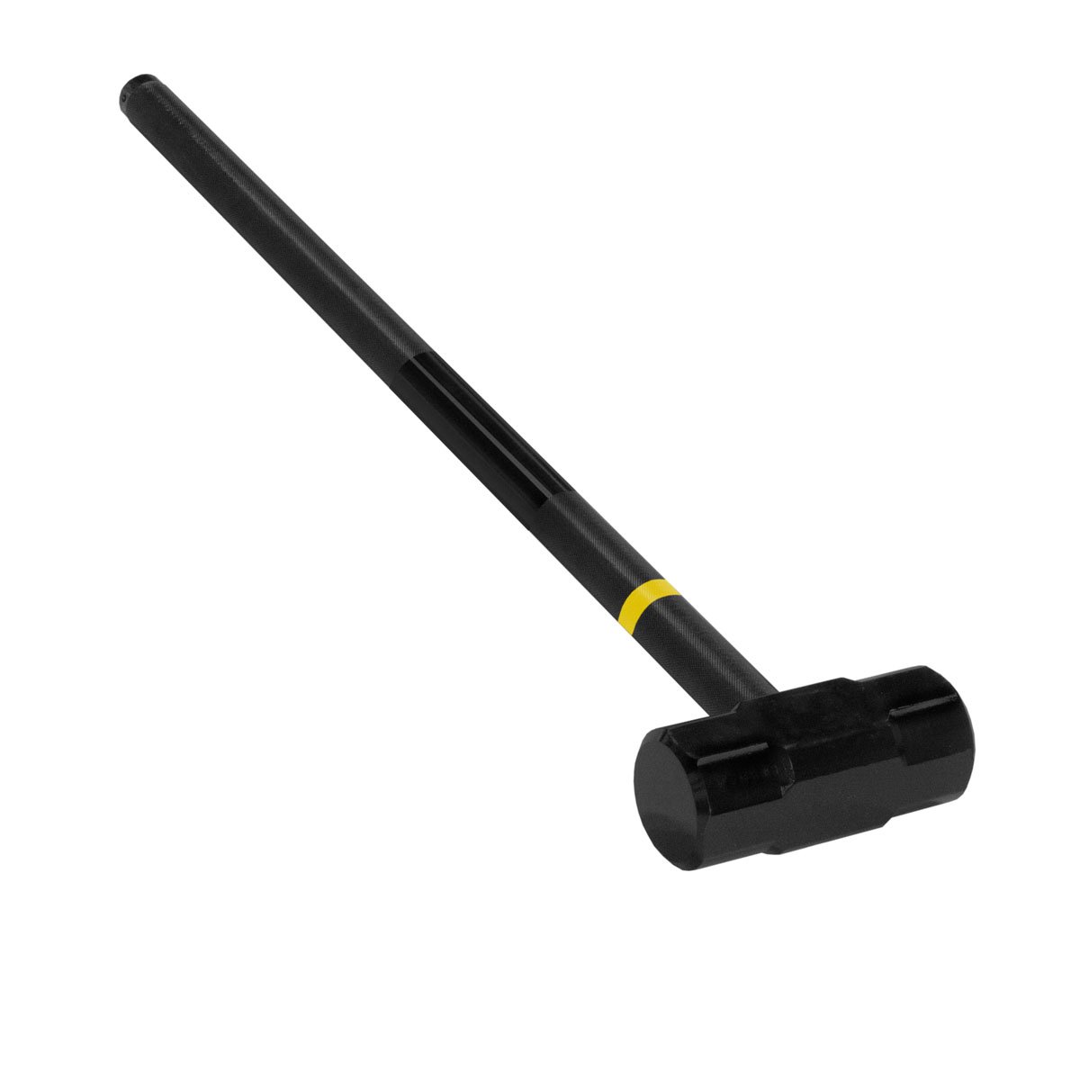 Slegge 10kg Thorn Fit