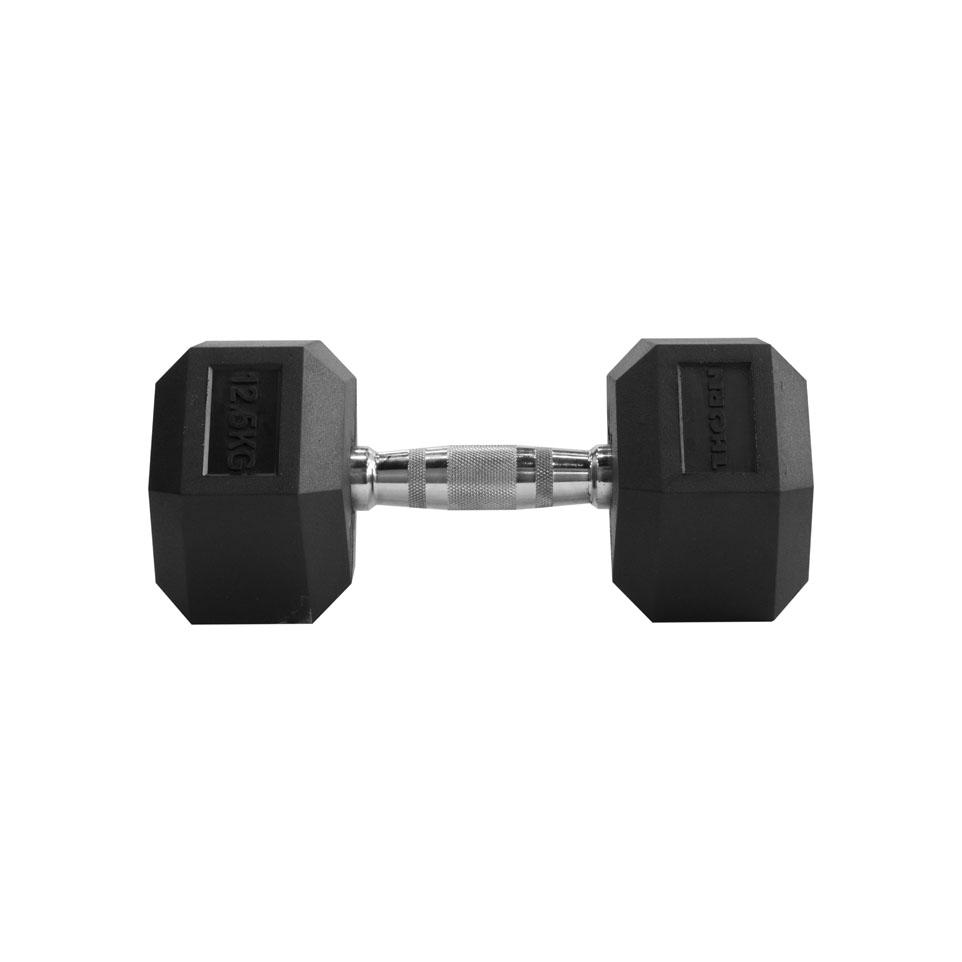 dumbbells, Hantel 12,5 kg Thorn Fit