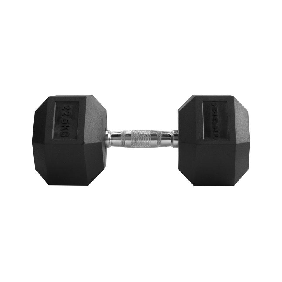 dumbbells, Hantel 22,5 kg Thorn Fit