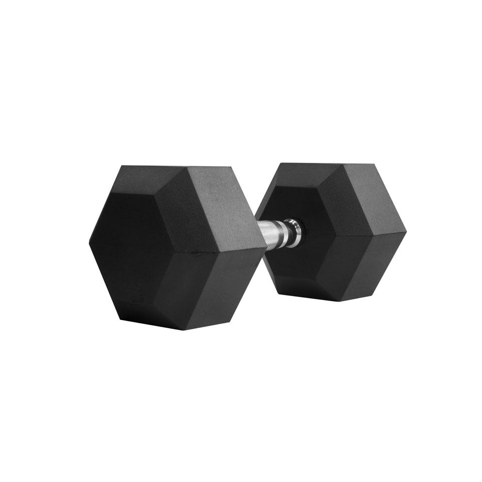 dumbbells, Hantel 22,5 kg Thorn Fit