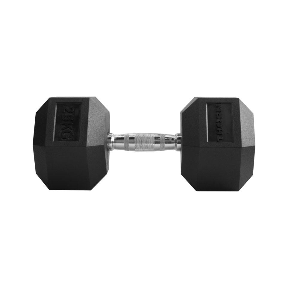 dumbbells, Hantel 25 kg Thorn Fit